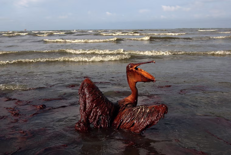 Image: Deepwater Horizon in 2010