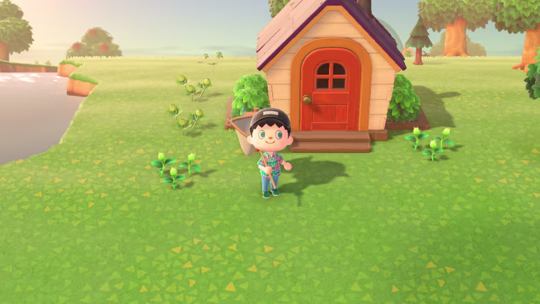 Just me on my island, ready to catch some butterflies.