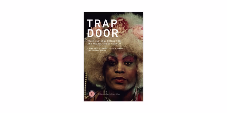 IMAGE: 'Trap Door'