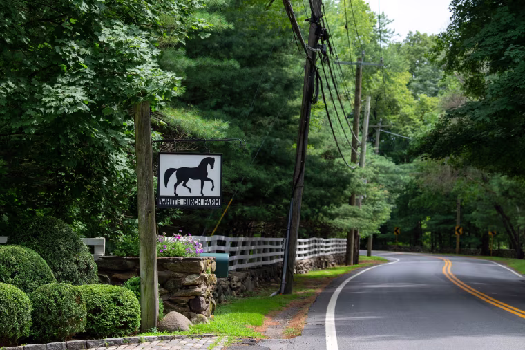 Image: Peter Brant's White Birch Farm