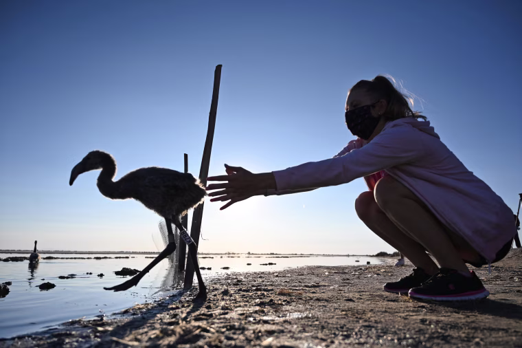 Image: TOPSHOT-FRANCE-ENVIRONMENT-ANIMAL