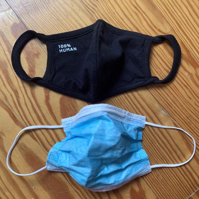 Everlane 100% Human Face Mask and a disposable face mask