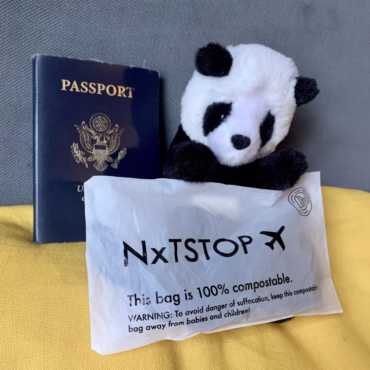 My stuffed panda who travels with me