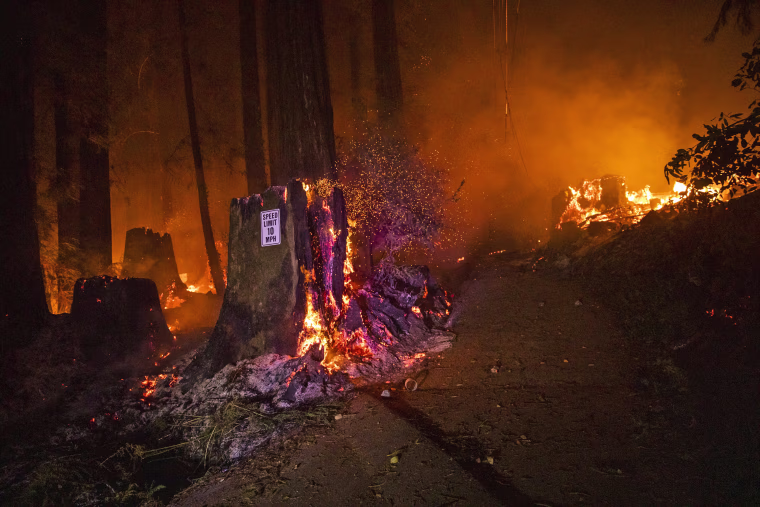 Image: California's Heat Crisis Shifts To Fires Raging Statewide
