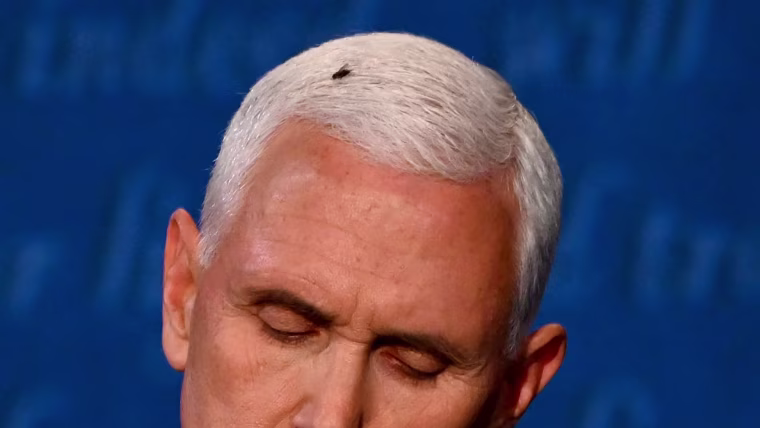 Image: Mike Pence and fly