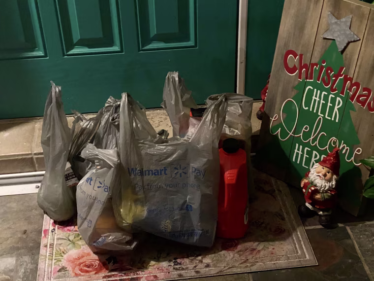 Thanks to Walmart Plus' grocery delivery option, we arrived home from our day trip to find the groceries we needed for the week at our front door.