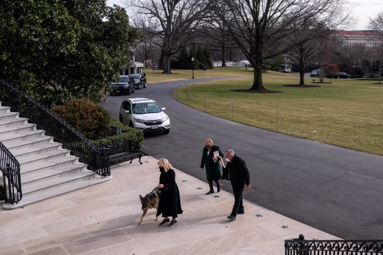 Champ and Major Biden joined the President and the first lady at the White House on Jan. 24, 2021.