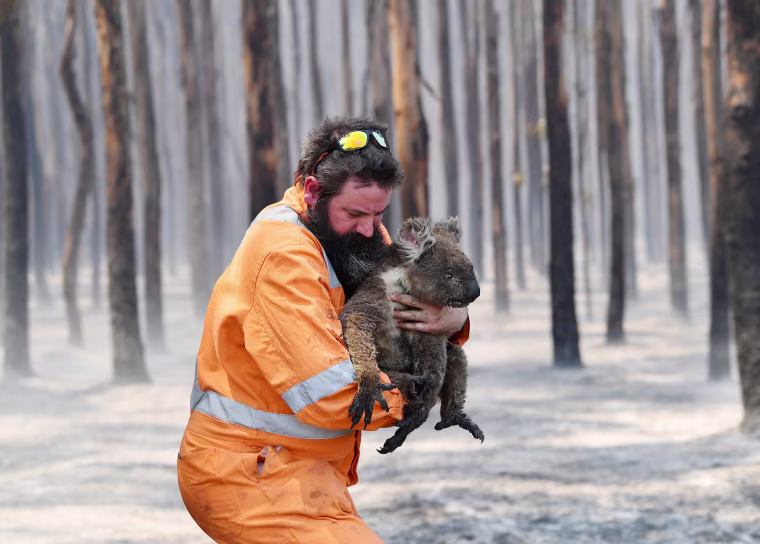 Wildlife rescuer Simon Adamczyk holds a rescued koala at a burning forest near Cape Borda on Kangaroo Island, southwest of Adelaide, Australia, on Jan. 7, 2020.