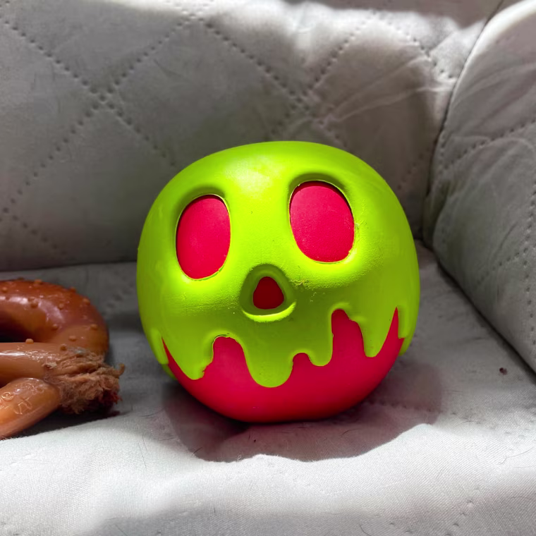 Morgan Greenwald's puppy Suzie loves this Disney chew toy from Pet Smart.