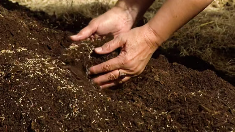 The remains of the first person to be composted were spread out in a ceremony in Fremont County, Colo., on March 20, 2022, after the process was made legal last year.