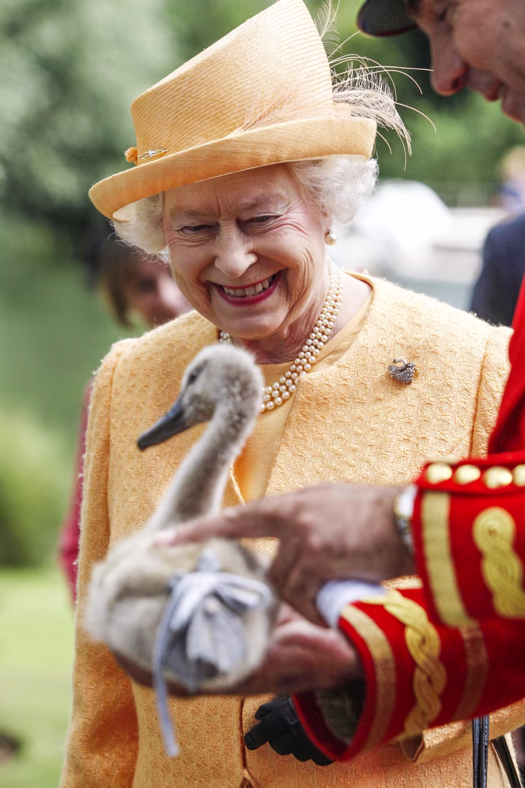 Queen attends annual Swan Upping