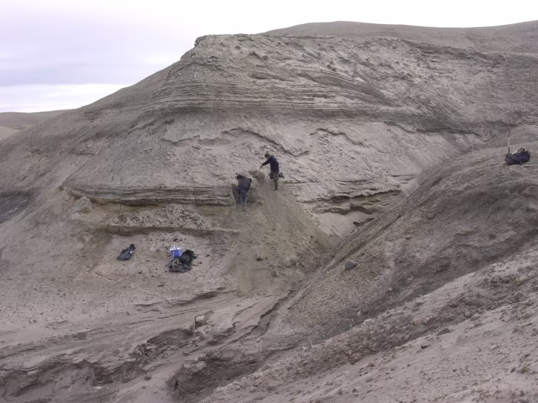 Professors Eske Willerslev and Kurt H. Kjaer expose fresh layers for sampling of sediments 