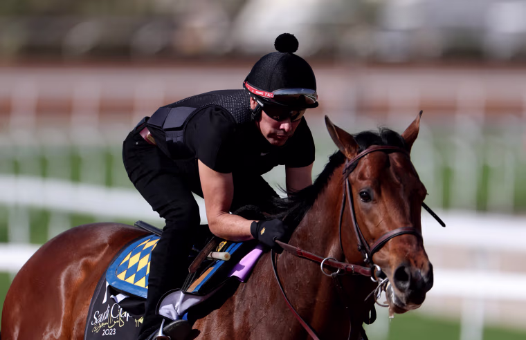 A jocky rides Havnameltdown ahead of the Saudi Cup