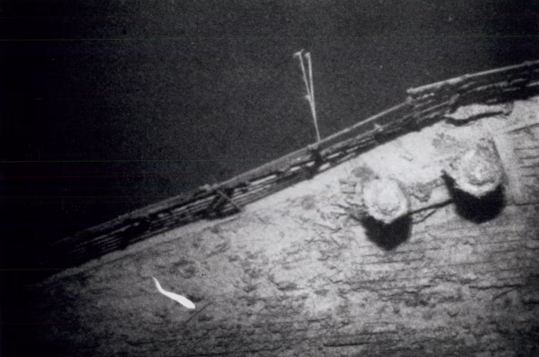 Image: A deep-water rattail fish swims by the Titanic wreckage at a depth of more than 12,000 feet in 1985.