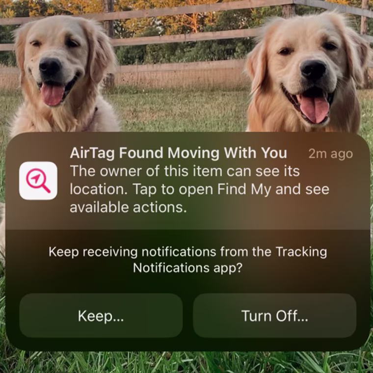 Apple sends you notifications when an AirTag that is not yours appears to be following you.