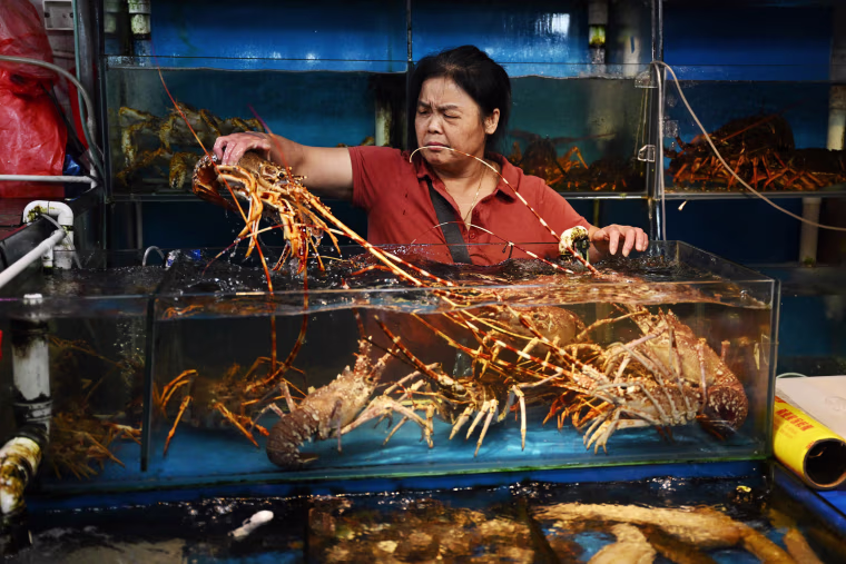 China on August 24 banned all Japanese seafood imports over what it said was the "selfish" release of wastewater from the crippled Fukushima nuclear plant.