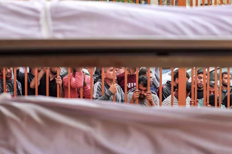 Gaza Bodies