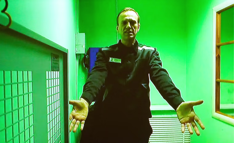 Alexei Navalny seen in a video link.