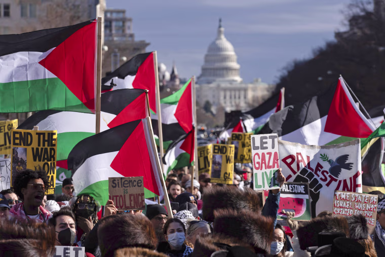 Image: Palestine Rally