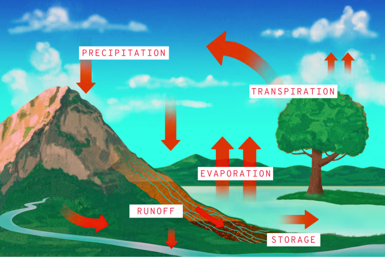 Labelled Illustration of water cycle