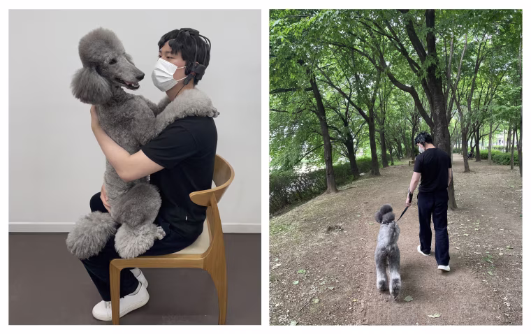 A study participant interacts with a poodle named Aro.
