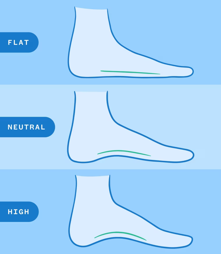 A graphic showing what each arch type looks like when you’re examining them from the side. From top to bottom: flat, neutral and high.