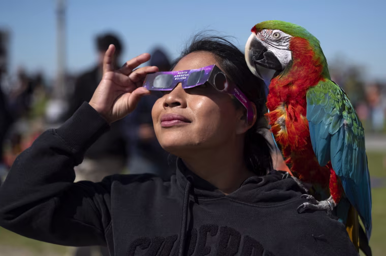 Isabel Franco and her parrot, Alex, watch the eclipse at the Griffith Observatory in Los Angeles.