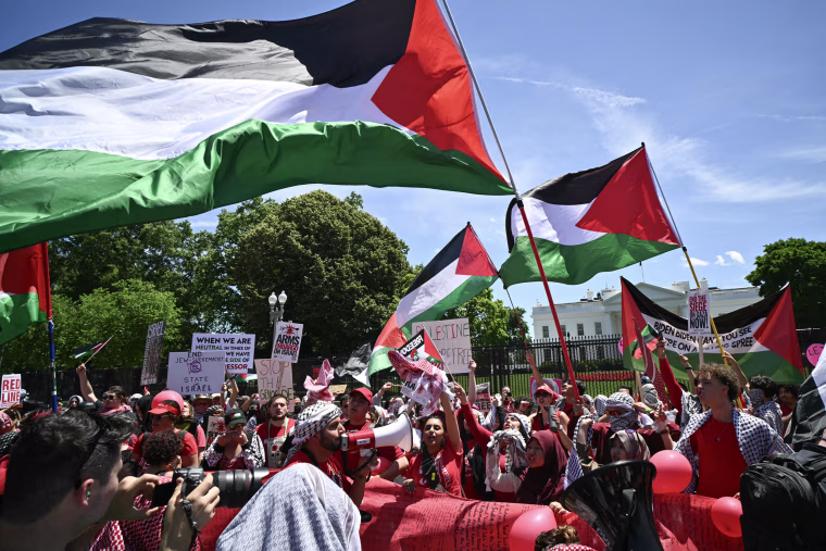 Pro-Palestinian demonstrators rally Israel's actions in Gaza