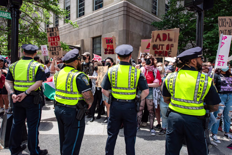 Pro-Palestinian protesters