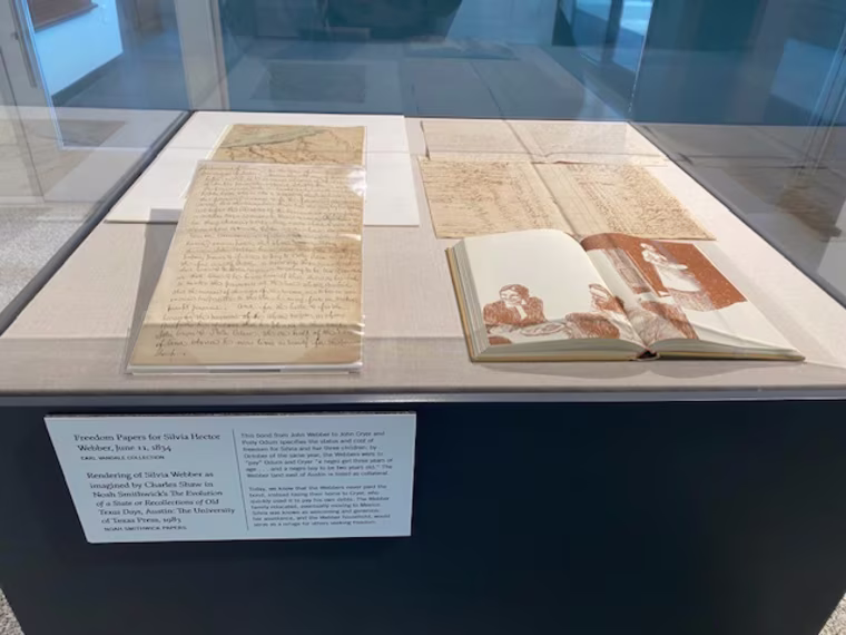 A collection of documents from Silvia Hector Webber on display.