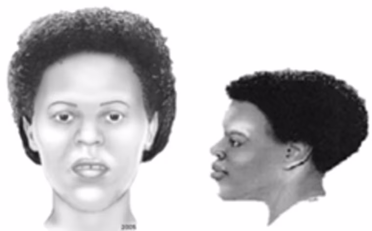 Sketch of Jane Doe.