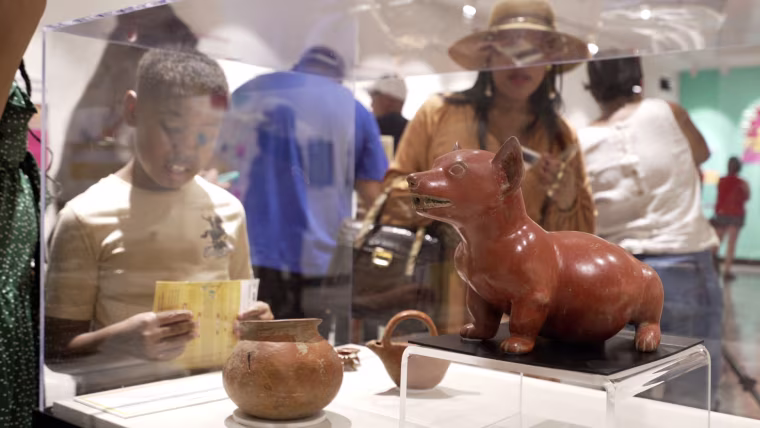 A clay sculpture of a Mexican hairless dog — one of the 250 artifacts in the Parthenon's collection.