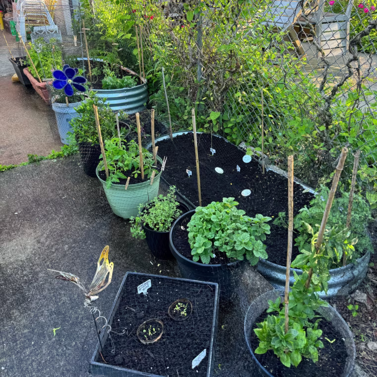 Brown uses multiple raised beds from Land Guard in her backyard garden.