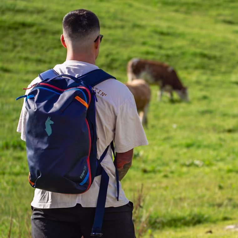 Cotopaxi Allpa 28L Travel Pack