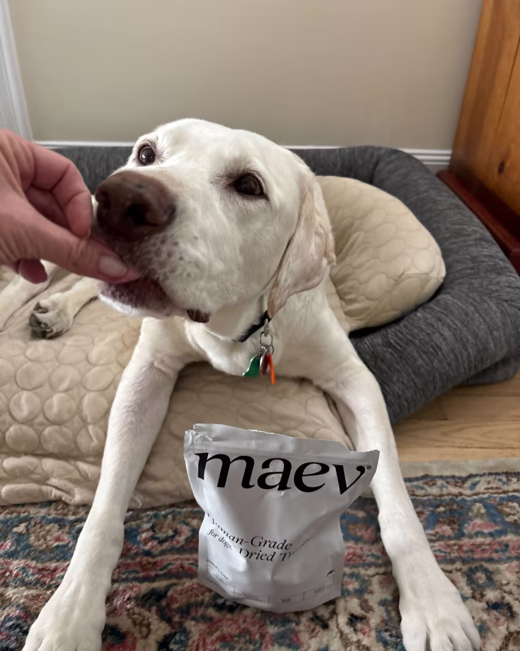 Malin loves feeding these freeze-dried treats to her 12-year-old yellow lab Chance because they have one ingredient, so she doesn’t have to worry about it upsetting his stomach or other side effects.