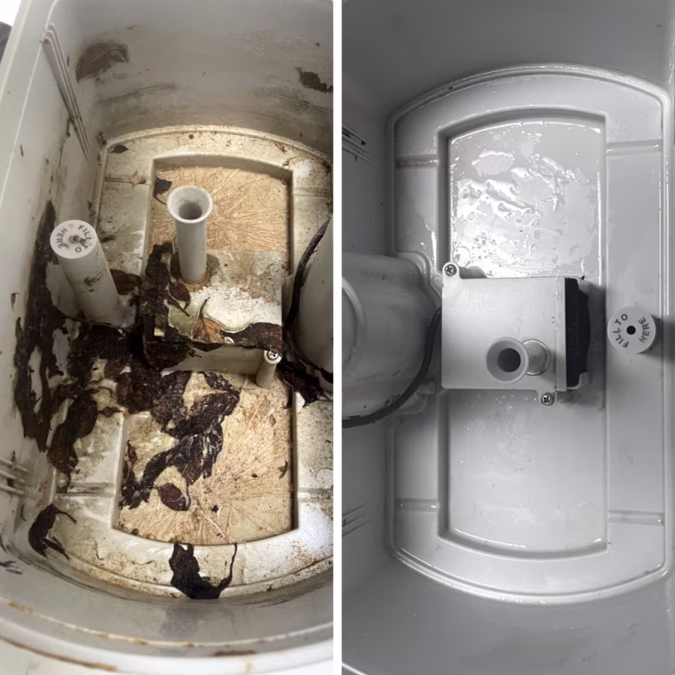 Left: A dirty, empty Aerogarden Harvest Elite water reservoir with leftover brown plant leaves and dirt.
Right: A clean Aerogarden Harvest Elite water reservoir.