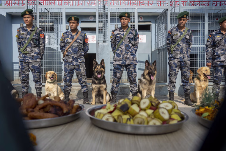 Nepal's Armed Police Force get ready with their dog to worship at their kennel division during Kukkur Tihar festival in Kathmandu, Nepal, Thursday, Oct. 31, 2024. E