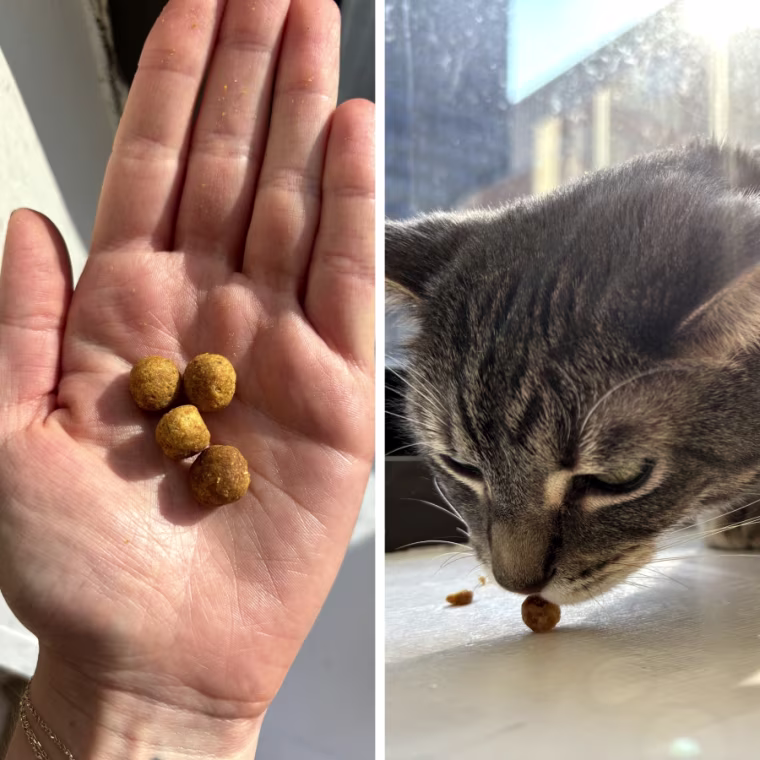 Purina’s ball-shaped cat treats in the palm of a woman’s hand, left, and a cat eating a treat, right.