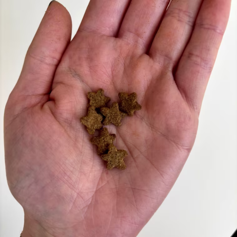 A woman’s hand holding star-shaped cat treats from Shameless Pets.