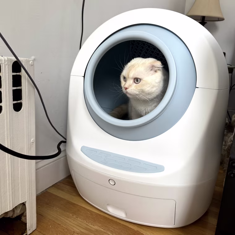 Opie in his high-tech litter box.