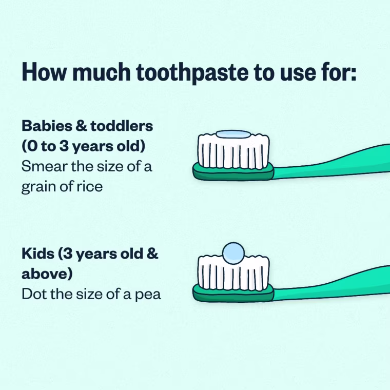 Kids tend to swallow some toothpaste while brushing, so it’s important to be careful about how much they use.  