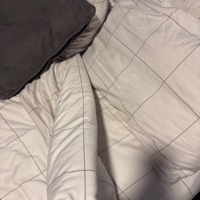 Bedsure comforter inside a white duvet cover from Quince on a made bed.