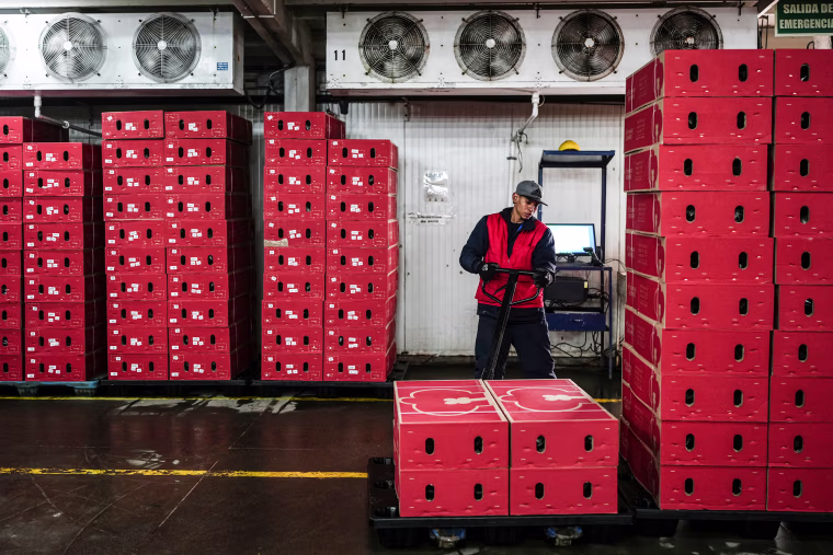 A worker organizes red boxes inside of a factory