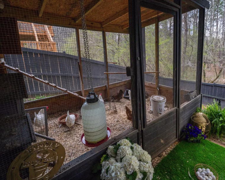 Naeema Finley's backyard chicken coop in Acworth, Ga.