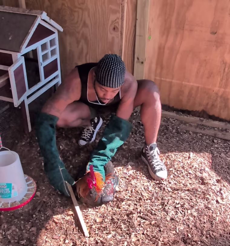 Amir Johnson tends to a chicken in a coop