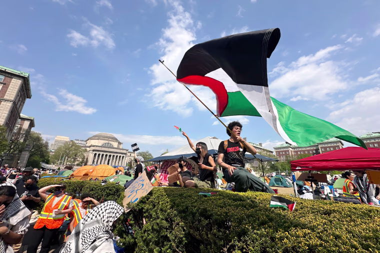 A demonstrator waves a flag