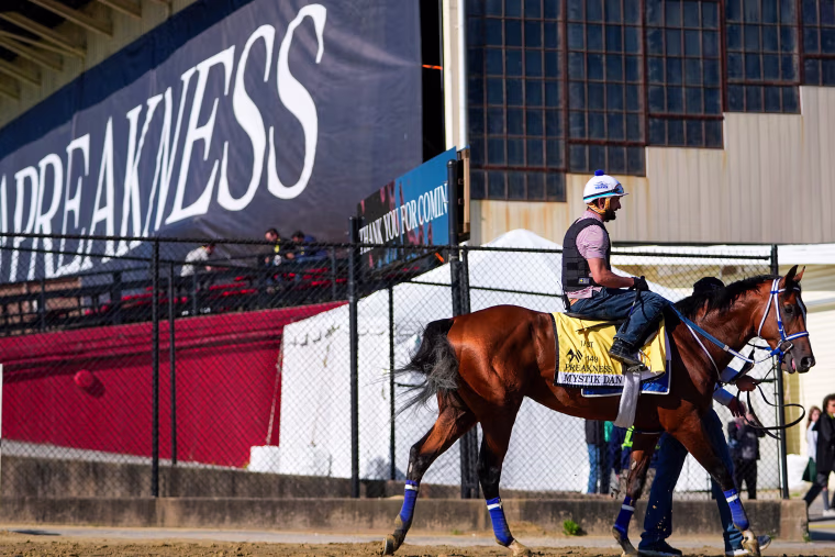 Mystik Dan preakness post workout