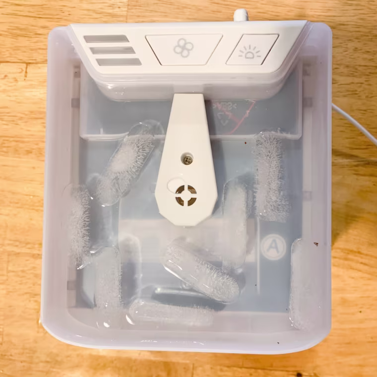 Ontel Arctic Air Pure Chill Evaporative Air Cooler tank.