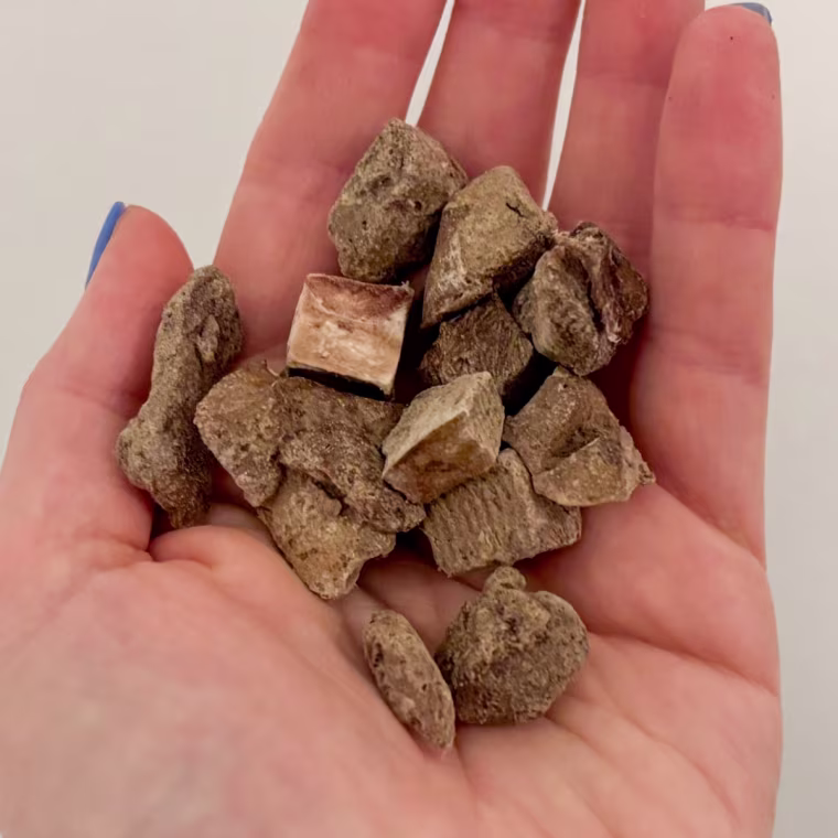 A few pieces of Vital Essentials’ Beef Liver Dog Treats in the palm of someone’s hand.