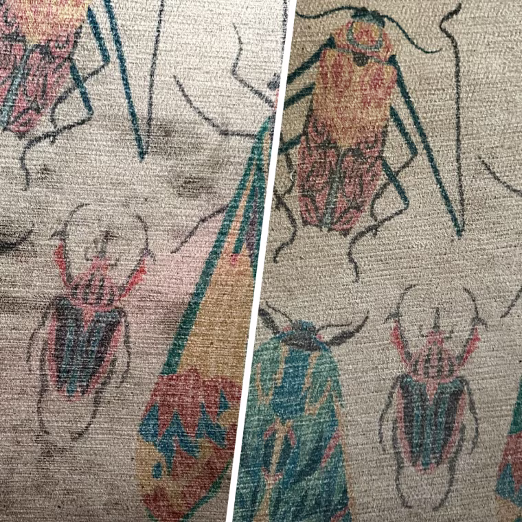 Set-in stains on deputy editorial director Ali Deabler's rug were completely lifted by the Shark StainForce Cordless Portable Spot, Stain, & Odor Remover System.